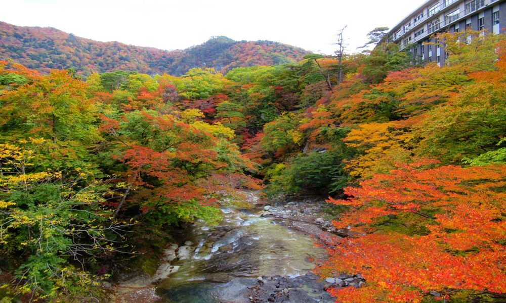 宇都宮ホテル丸治　観光地　塩原温泉