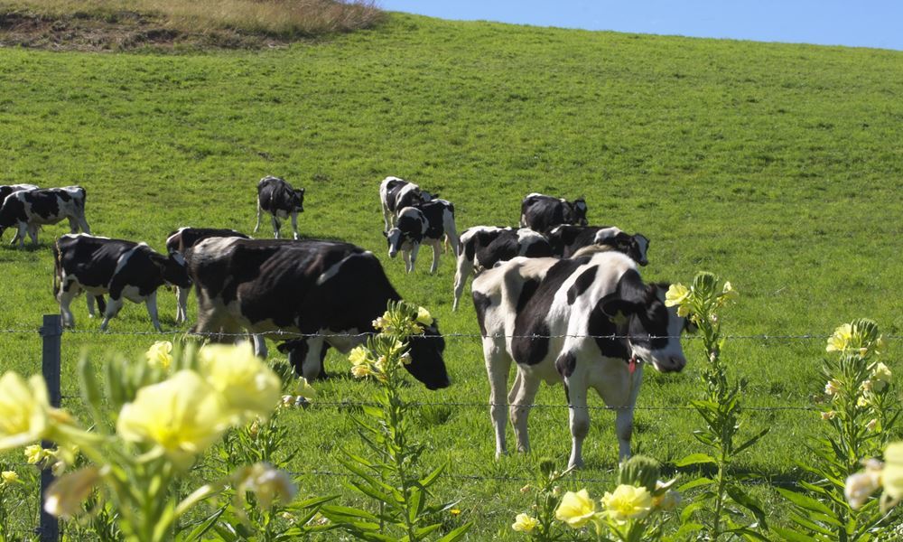 宇都宮ホテル丸治　観光地　那須りんどう湖レイクビュー