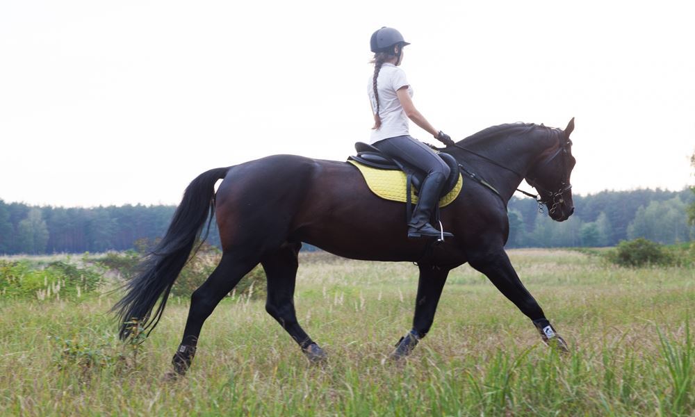 宇都宮ホテル丸治　観光地　那須りんどう湖