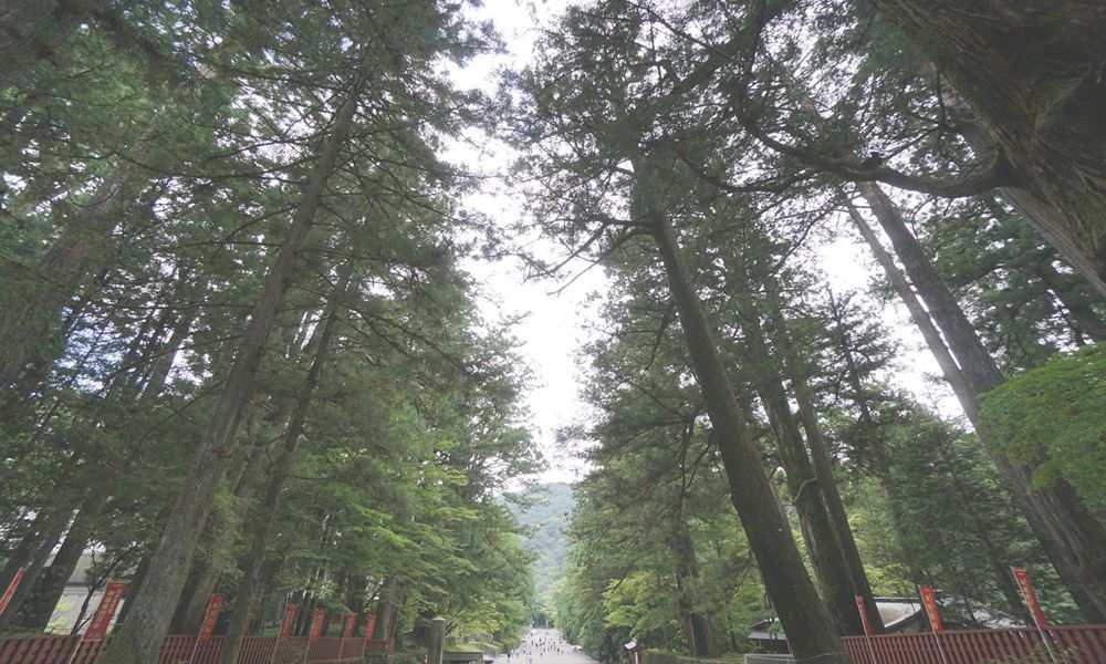 宇都宮ホテル丸治　観光地　日光東照宮