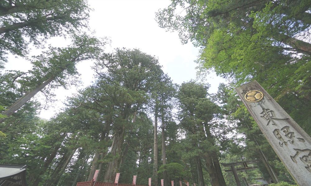 宇都宮ホテル丸治　観光地　日光東照宮