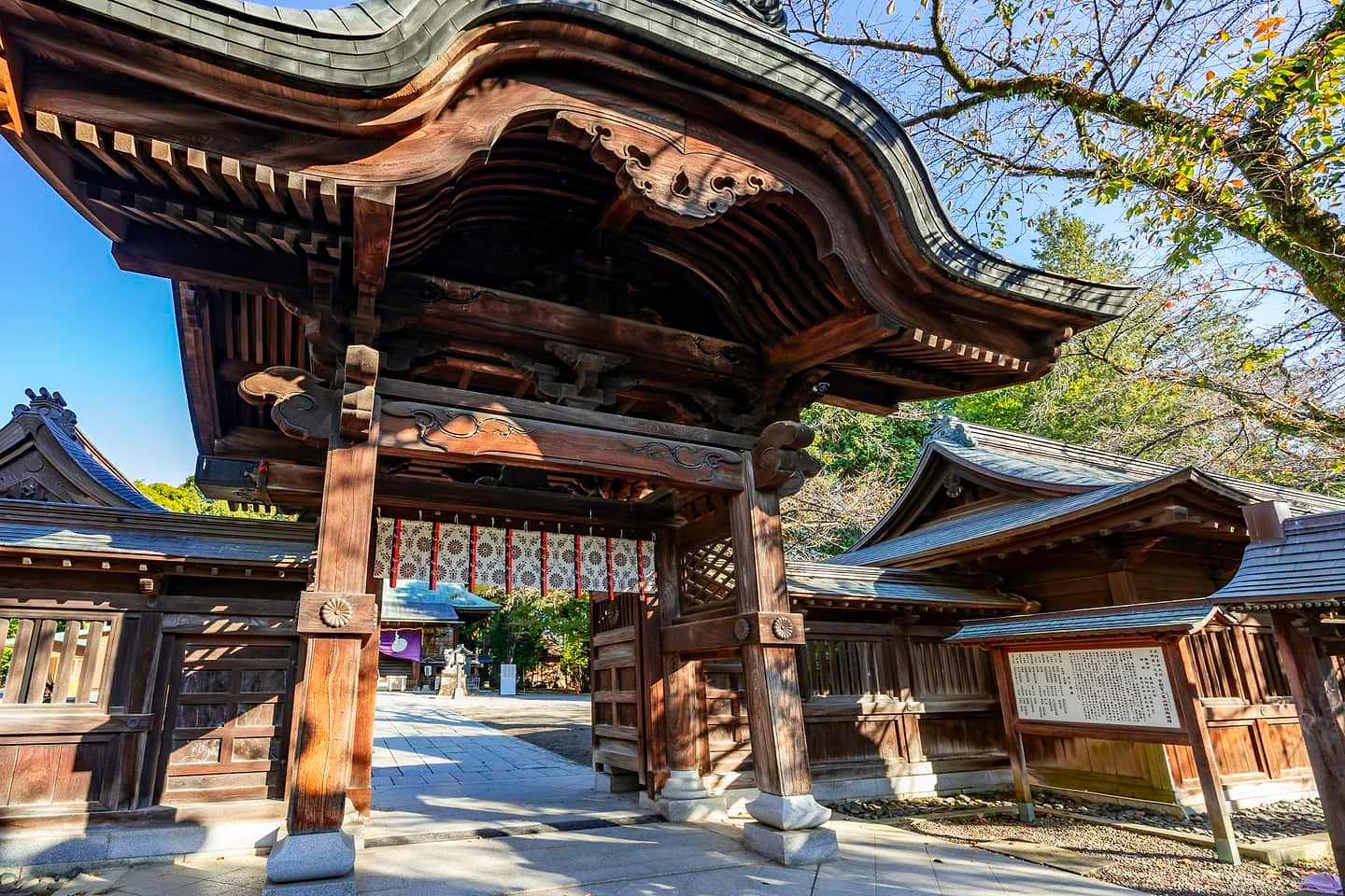 【初夏の宇都宮さんぽ】丸治から歩いてすぐ。新緑の「二荒山神社」でパワーチャージ